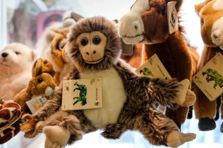 Speelgoed speciaalzaak Asbran aan de Kleine Peperstraat in Groningen. WWF plush collection aap