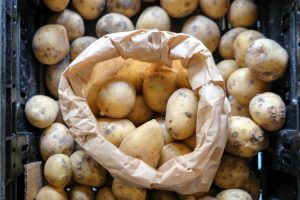 Aardappel oogst van de moestuin, te koop bij De Stadsakker aan de Oude Kijk in 't Jatstraat 38 in Groningen.
